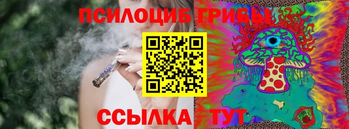 Псилоцибиновые грибы MAGIC MUSHROOMS  Вход с VPN  закладка  Зеленодольск 