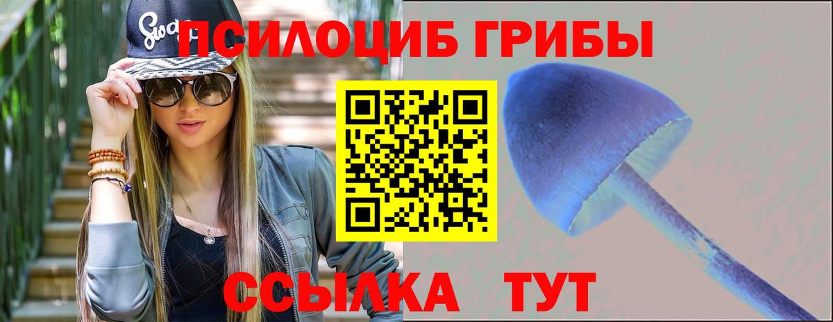 Псилоцибиновые грибы мицелий Зеленодольск